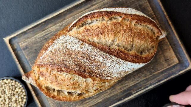 A loaf of homemade whole grain rye bread for the dinner table. A loaf of rye bread as a food background for your design