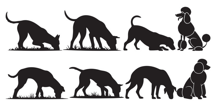 Sniffing and digging dog silhouettes walking behavior poses. vector illustration eps 10