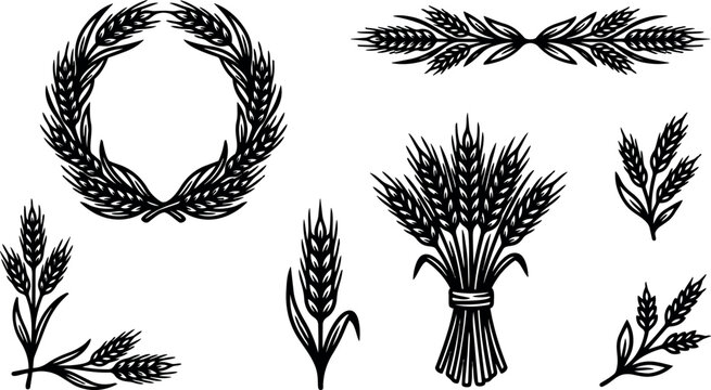 Laurel wreath and wheat bundle vector