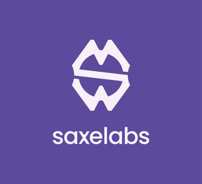 Geometric emblem with mirrored zigzag lines forming an abstract &ldquo;S&rdquo; inside a hexagonal shape. Clean and tech-driven look, suitable for startups, labs, blockchain, or digital innovation brands.