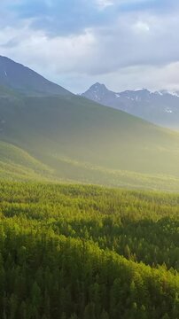 Golden sunlight bathes a vast evergreen forest covering rolling hills, with a majestic mountain range rising in the background beneath a partly cloudy sky. The warm light highlights the rich green