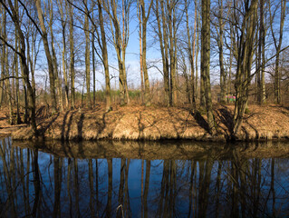 Obraz premium reflection