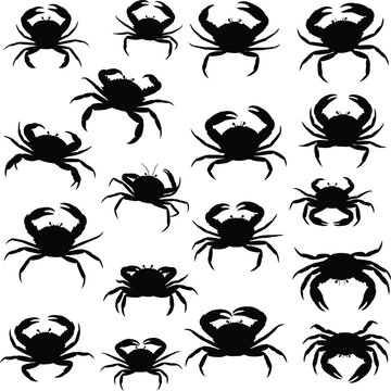 A collection of black crab silhouettes on a white background