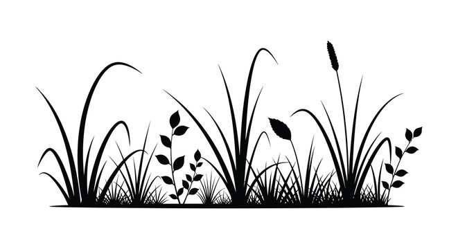 Black grasses and foliage create a striking natural silhouette