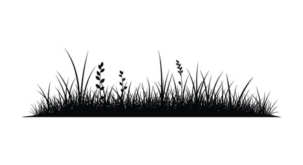Black silhouette of grasses and wildflowers against a white background silhouette © nhpvect02