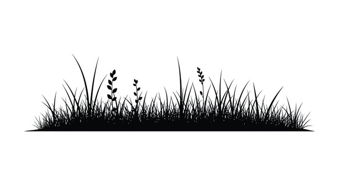 Black silhouette of grasses and wildflowers against a white background silhouette