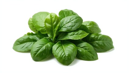 Fototapeta premium Isolated spinach. Fresh spinach leaf on a white backdrop. Young spinach leaves for salad. Packaging design element.