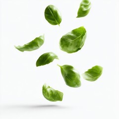 Obraz premium Fresh basil leaves floating in air isolated on white background, dynamic food photography