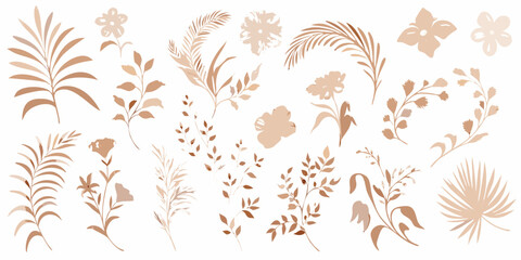 Fototapeta premium Delicate botanical illustrations of various leaves and floral arrangements