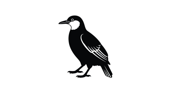 Black silhouette of a magpie bird standing on ground isolated on white background