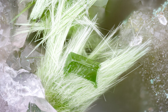 Green fibrous Mixite going through a Baryte. Specimen from Bussang, Vosges, France. Micro photography extreme close-up. microscope mineral crystal photography for Scientific use