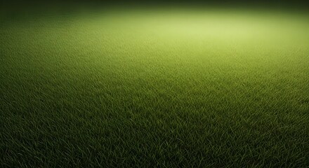 Naklejka premium Vibrant green grass field illuminated by soft golden spotlight creating a serene and inviting