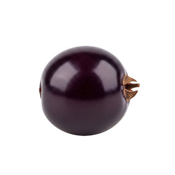 purple eggplant isolated on white