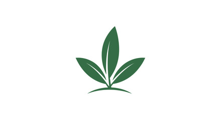 Obraz premium Three Fresh Green Leaves Design Element Isolated White Background