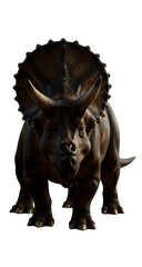 Fototapeta premium Realistic Triceratops Illustration Design for Wildlife Studio Style