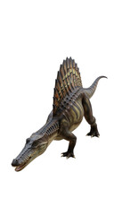 Fototapeta premium Realistic Spinosaurus Dinosaur Model in Clean Studio Environment
