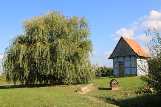 Kleines Fachwerkhaus mit Trauerweide