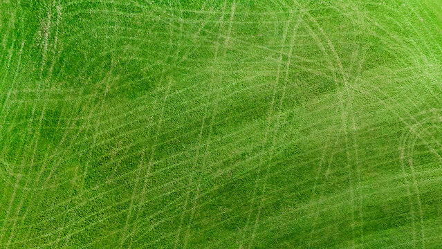 Abstract lawn stripes from above, green grass texture
