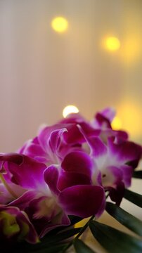 Tropical flowers, orchid on glittering background, vibrant colors  evoke freshness and beauty, and tropical charm, perfect for floral designs, greeting cards