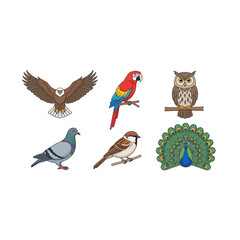 Obraz premium Diverse Bird Collection: Eagle, Parrot, Owl, Pigeon, Sparrow, Peacock