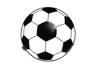 Fototapeta premium A black and white soccer ball flies through air