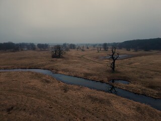 Drzewa, Dęby, Przyroda, Natura, Rogalin, Polska, krajobraz, drzew, niebo, park, bory, pola, chmura © Marcin