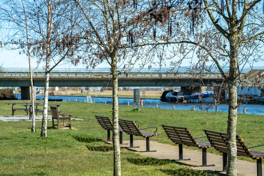 Silver birch tree and wooden benches on the bank of the River Thurne in potter Heigham, Norfolk Broads