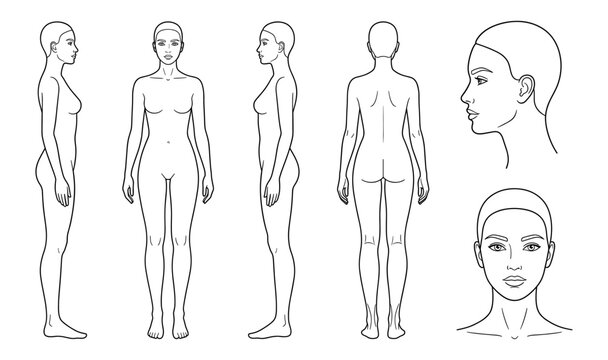Female body template with front back and side view