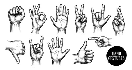 Fototapeta premium Hand gesture set with like ok rock victory and fist hand drawn