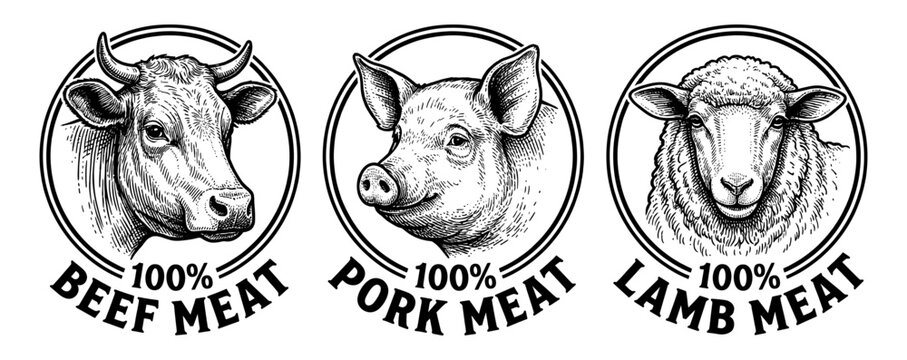 Beef pork lamb meat label set in vintage hand drawn engraving