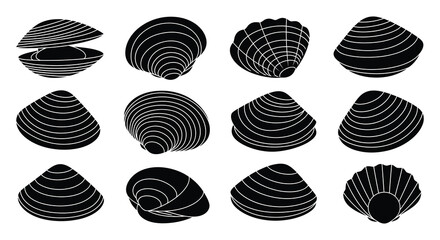 A collection of various seashell shapes and forms is presented in a stark minimalist black silhouette high quality professional detailed modern © rabbivay