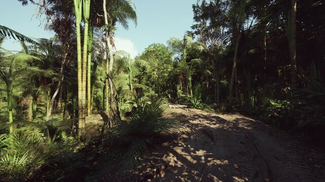 Quiet forest trail offers peaceful restorative experience, Calm and sunlit trail through trees encourages mindful walking and inner renewal in nature