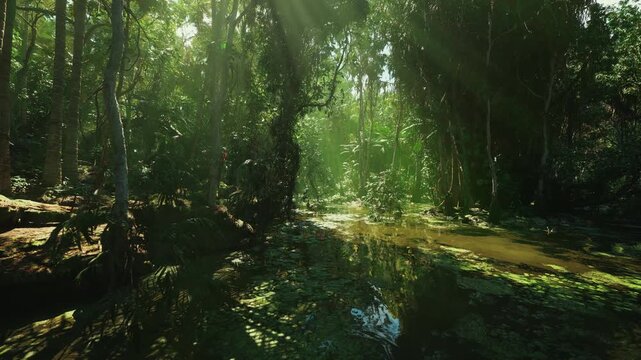 twilight bayou with misty water, low light silhouettes of cypress and hanging moss, soft fog rising from shallow pools, eerie calm with hidden wildlife and damp