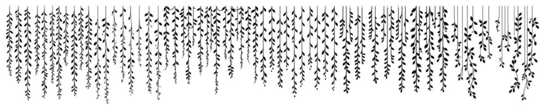 Hanging Vines and Weeping Willow Branches Illustration Hand Drawn Botanical Border Pattern Vector Art