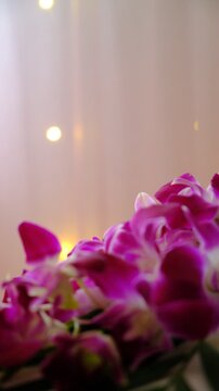 Tropical flowers, orchid on glittering background, vibrant colors  evoke freshness and beauty, and tropical charm, perfect for floral designs, greeting cards