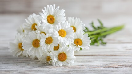 Obraz premium Fresh daisies bouquet on a white wooden background with natural light