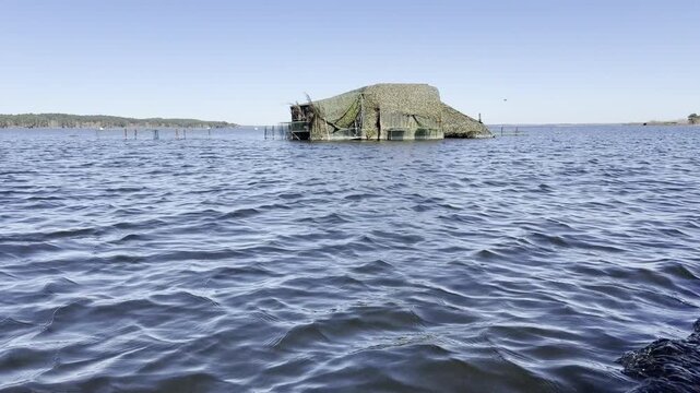 Lac de Parentis-Biscarrosse, France. A duck hunting hut on stilts stands in the middle of the lake, covered with camouflage net to blend into the surrounding wetland.