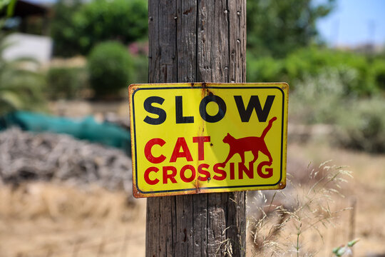 Ein Hinweisschild wegen Katzen die die Stra&szlig;e &uuml;berqueren.
