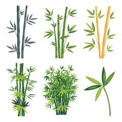 Naklejka premium Bamboo leaves and branches vector illustration isolated on white background with a natural zen tropical style