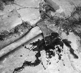 Irone axe lies on the ground © Marina