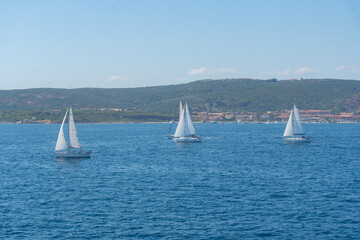 Fototapeta premium Sailing Regatta at Sea