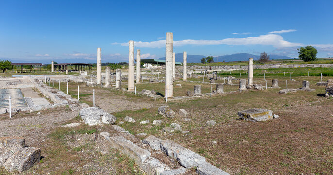 Ancient columns at the Archaeological Site of Pella in Macedonia, Greece