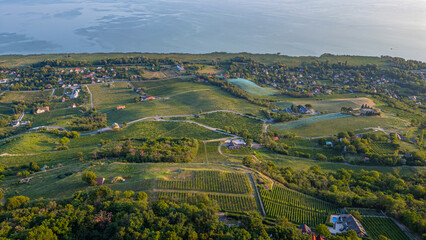 Fototapeta premium Panorama view of vineyards at Badacsony in Hungary