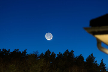 Fototapeta premium Full moon over the dark forest
