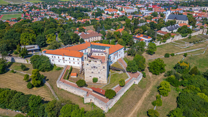 Summer day at Sarospatak castle in Hungary © dudlajzov