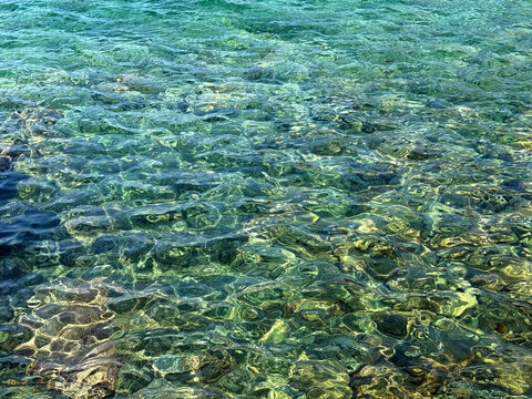 Green sea surface clear calm water.