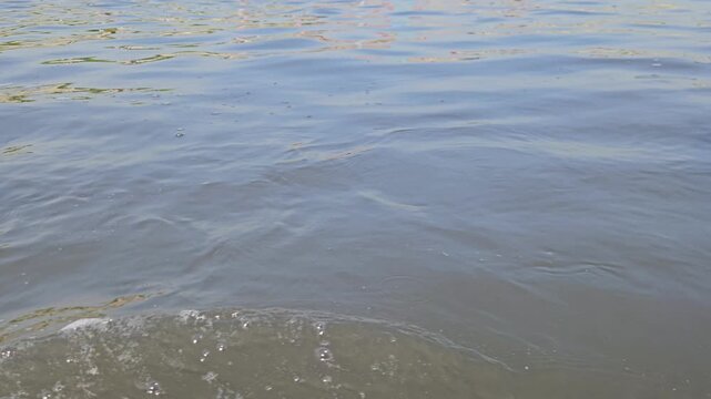 Wide View of Triveni Sangam River in Prayagraj, Uttar Pradesh, India, Calm Water and Sandy Riverbank, Sacred Ganga Landscape, Travel