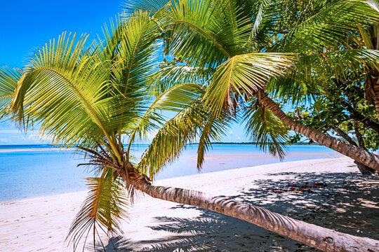 Moirer&eacute; Beach, on Boipeba Island, is an ecological paradise featuring deserted beaches, calm, crystal-clear waters, natural pools, and coconut palms. Cairu Archipelago, Bahia, Brazil. 2024