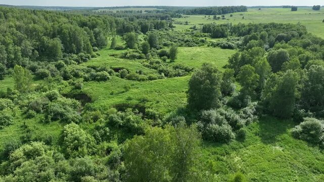 Drone view of countryside. Fields and forests in summer. 