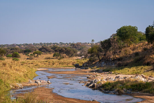 river basin and savanna landscape of tarangire national park in tanzania